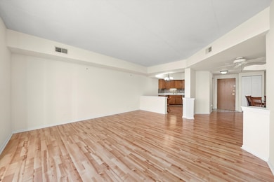 11001 Deblin Ln unit 203, Oak Lawn, IL 60453 - photo 5