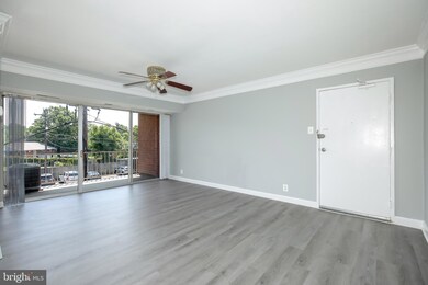 3706 N Rosser St unit 204, Alexandria, VA 22311 - photo 6