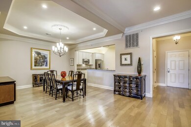 The Bluffs At Quarry Lake unit 406, Baltimore, MD 21209 - photo 5