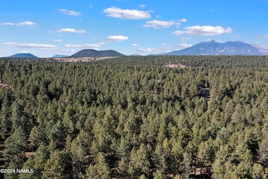 6040 W Saskan Ranch Cir, Flagstaff, AZ 86001 - photo 7