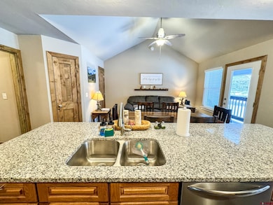100 Teocalli Rd unit 3, Crested Butte, CO 81224 - photo 5