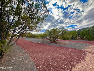 1826 Howard Place, Show Low, AZ 85901 - photo 4