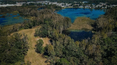 1758 Land O Lakes Blvd, Lutz, FL 33549 - photo 7