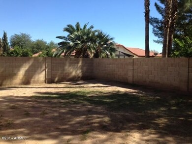 Back yard
