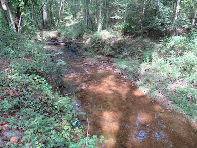 101 Winding Road - Lot 1a & 1b & Lot 2, Bowdon, GA 30108 - photo 2