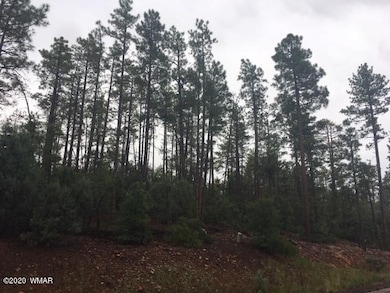 2321 S Bristlecone Dr, Show Low, AZ 85901 - photo 3