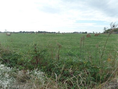 6883 Pine St, Colcord, OK 74338 - photo 5