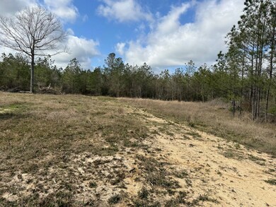 Tbd Hwy 112, Forest Hill, LA 71430 - photo 7