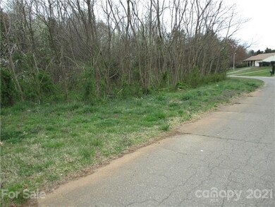 153 Birchwood Rd, Statesville, NC 28625 - photo 6