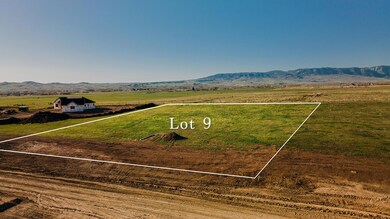 Lot 9