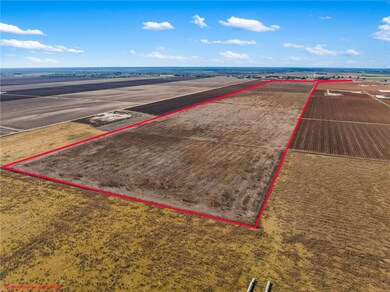 TBD Fm 50 - 173 62 Acres, Hearne, TX 77859 - photo 4