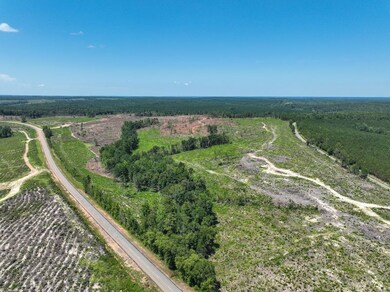 0 Hwy 112 unit 25649022, Toomsboro, GA 31090 - photo 2