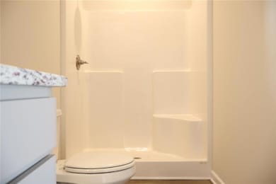 Bathroom with a shower and vanity