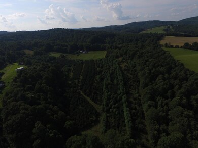 DJI_0016