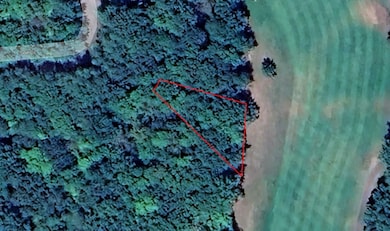 0 Golf Cir unit 25696193, Garrison, MN 56450 - photo 6