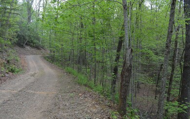 Additional View