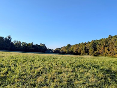 0 Daniels Run Rd, Check, VA 24072 - photo 7