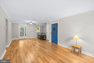 2970 S Columbus St unit A1, Arlington, VA 22206 - photo 7