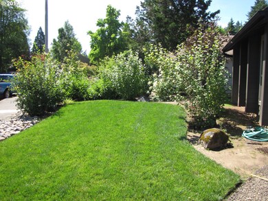 Front Yard