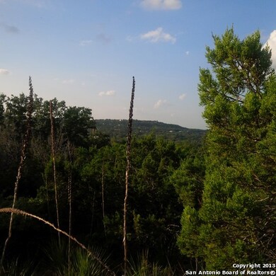 24210 Scenic Loop Rd, San Antonio, TX 78255 - photo 4