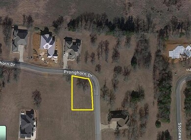 Lot 39C Pronghorn Dr, Gordonville, TX 76245 - photo 5