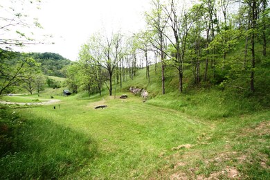 View from Pond
