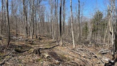 1376 Kingdom Rd, Plymouth, VT 05056 - photo 5