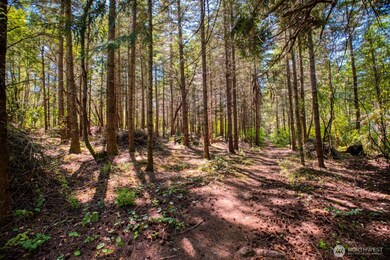 0 Lots 3&4 Grant St unit NWM2367916, Port Townsend, WA 98368 - photo 6