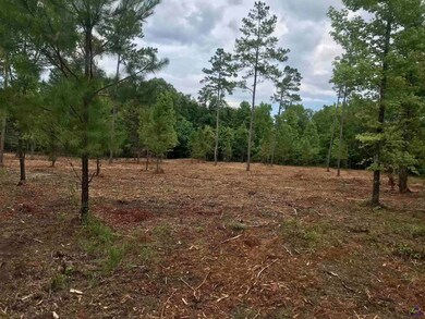 2420 Dennis Rd, Macon, GA 31220 - photo 4