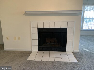 4406 Silverbrook Ln unit 203, Owings Mills, MD 21117 - photo 2