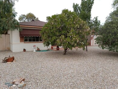 Front with trees