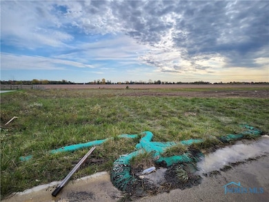 25216 John F McCarthy Way, Perrysburg, OH 43551 - photo 4