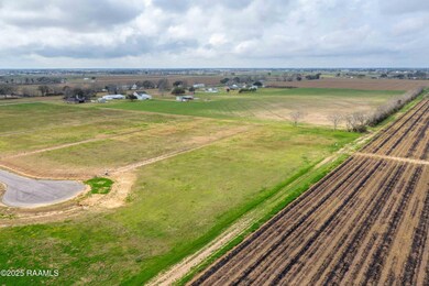 3902 Chemin Belle Terre, Maurice, LA 70555 - photo 6