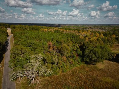 7.32+/- AC Oscar Lee Rd, Poplarville, MS 39470 - photo 5