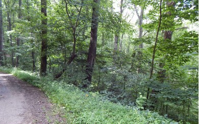Additional View