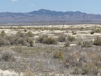 82020 S 8000 W, Grouse Creek, UT 84313 - photo 6