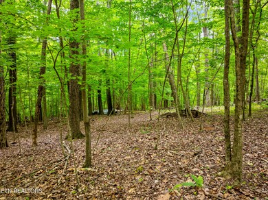 Running Deer Trail Lot-7