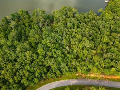 329 Terrapin Pointe Rd, Hodges, SC 29653 - photo 7