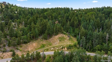 10126 Crest View Dr, Morrison, CO 80465 - photo 3