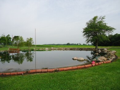 Stocked pond!