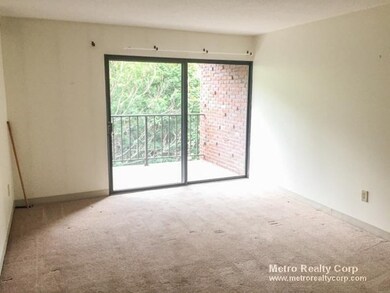 70 Centre St unit 6e, Brookline, MA 02446 - photo 6