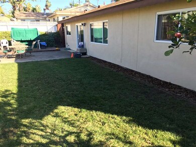 Great sized yard