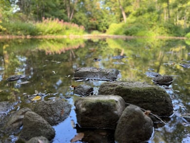 Rt-90 unit LotWP001, Genoa, NY 13071 - photo 4