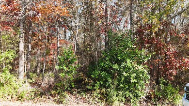 0000000 Poplar St, Woodruff, SC 29388 - photo 2