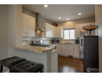 387 Osiander St, Fort Collins, CO 80524 - photo 4