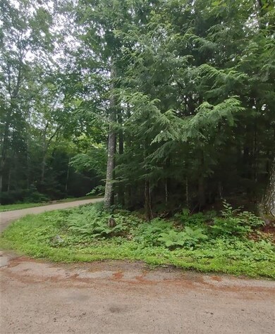 0 Albert St unit 12 4870525, Moultonborough, NH 03254 - photo 6