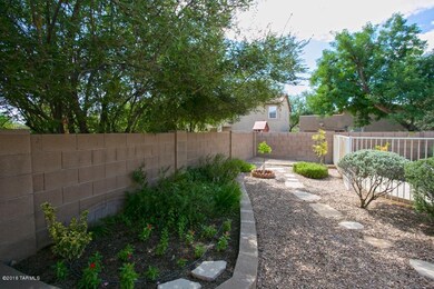 Backyard Vegetation