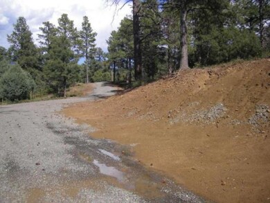 33141 Fishers Peak Pkwy unit F20-Unit 9, Trinidad, CO 81082 - photo 3