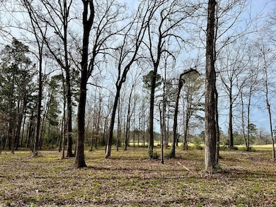 3.48 Roberts Ln, Diboll, TX 75941 - photo 7