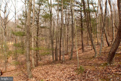 Lot 14 Leisure Acres Rd, Wardensville, WV 26851 - photo 6